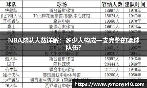 NBA球队人数详解：多少人构成一支完整的篮球队伍？